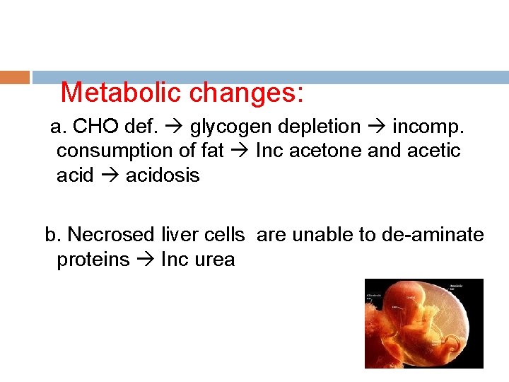 Metabolic changes: a. CHO def. glycogen depletion incomp. consumption of fat Inc acetone and