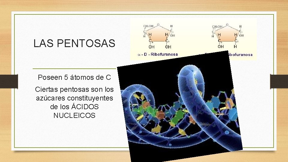 LAS PENTOSAS Poseen 5 átomos de C Ciertas pentosas son los azúcares constituyentes de