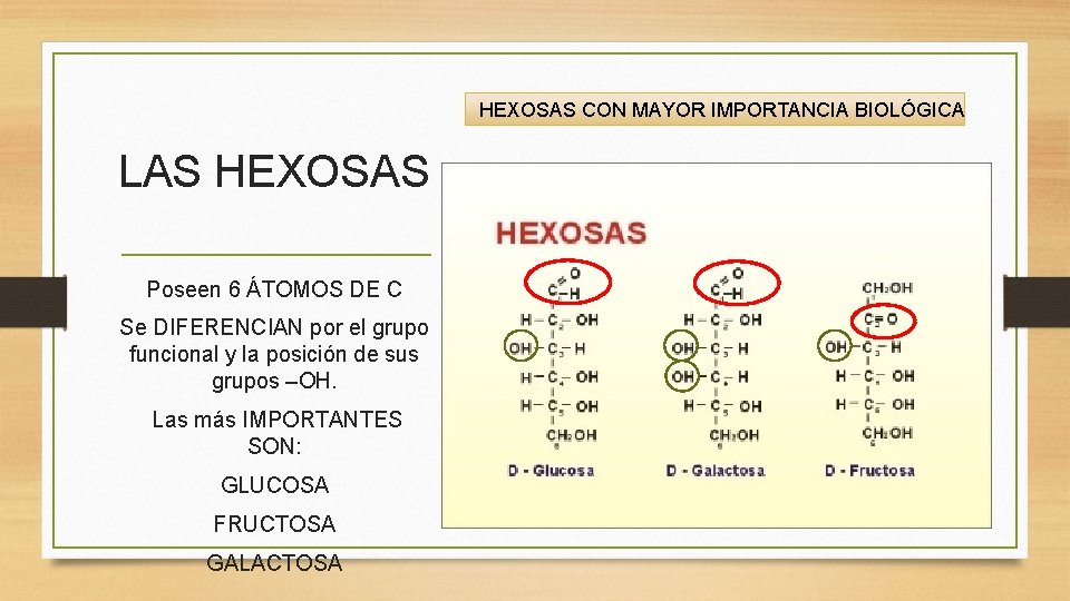 HEXOSAS CON MAYOR IMPORTANCIA BIOLÓGICA LAS HEXOSAS Poseen 6 ÁTOMOS DE C Se DIFERENCIAN