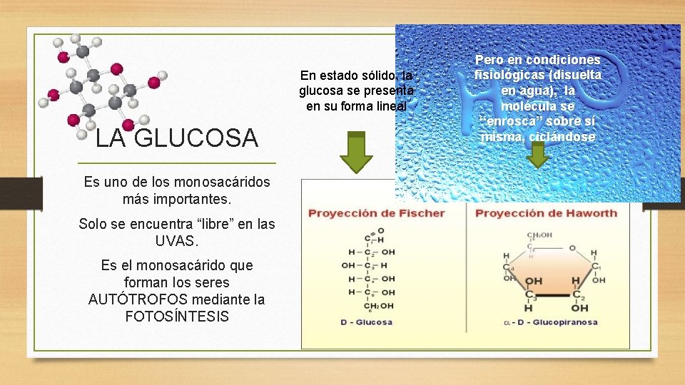 En estado sólido, la glucosa se presenta en su forma lineal LA GLUCOSA Es