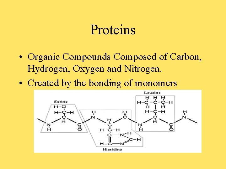 Proteins • Organic Compounds Composed of Carbon, Hydrogen, Oxygen and Nitrogen. • Created by Proteins • Organic Compounds Composed of Carbon, Hydrogen, Oxygen and Nitrogen. • Created by
