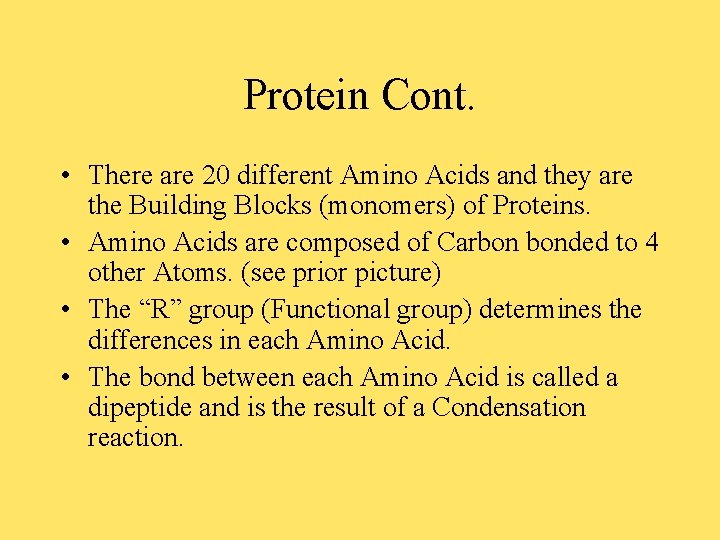 Protein Cont. • There are 20 different Amino Acids and they are the Building