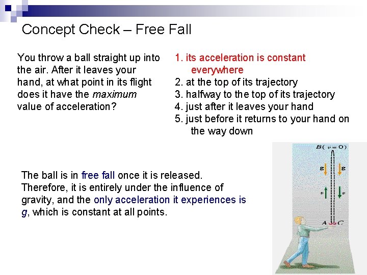 Concept Check – Free Fall You throw a ball straight up into the air.