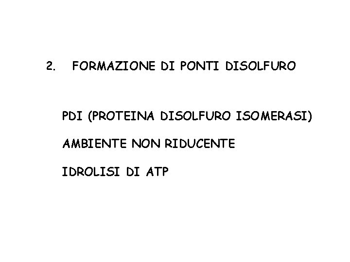 2. FORMAZIONE DI PONTI DISOLFURO PDI (PROTEINA DISOLFURO ISOMERASI) AMBIENTE NON RIDUCENTE IDROLISI DI