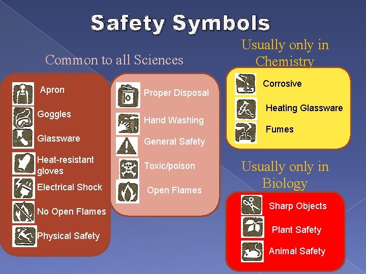 Safety Symbols Common to all Sciences Apron Goggles Proper Disposal Hand Washing General Safety