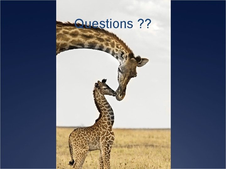 Questions ? ? 