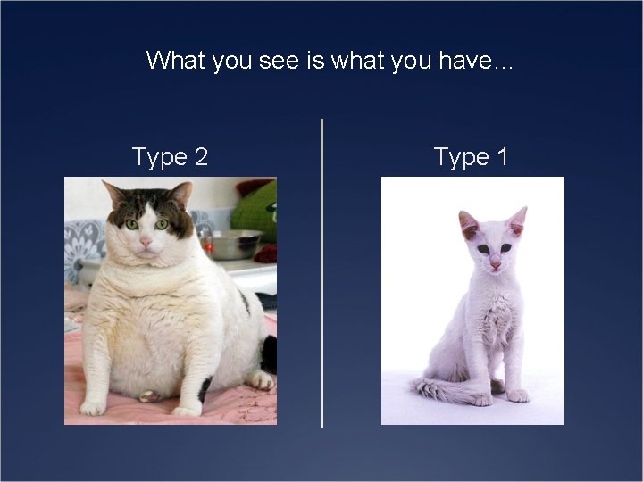 What you see is what you have… Type 2 Type 1 
