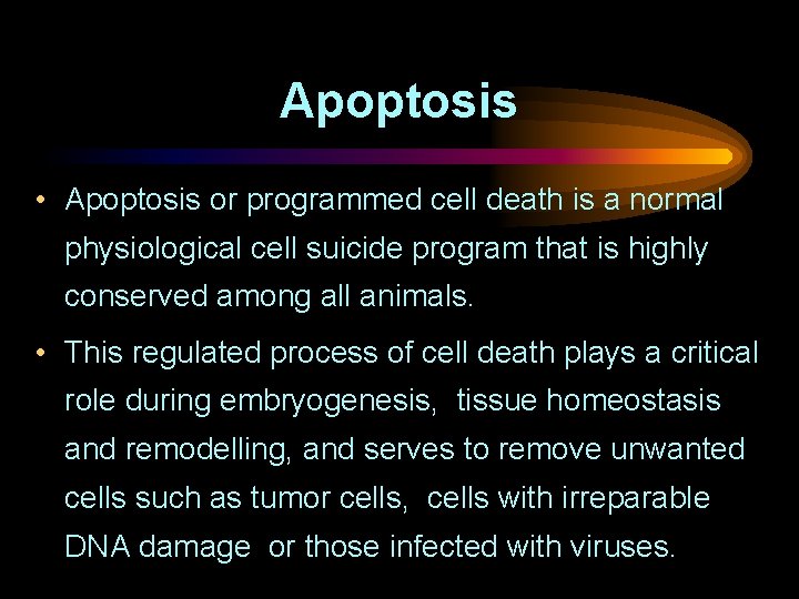 Apoptosis • Apoptosis or programmed cell death is a normal physiological cell suicide program