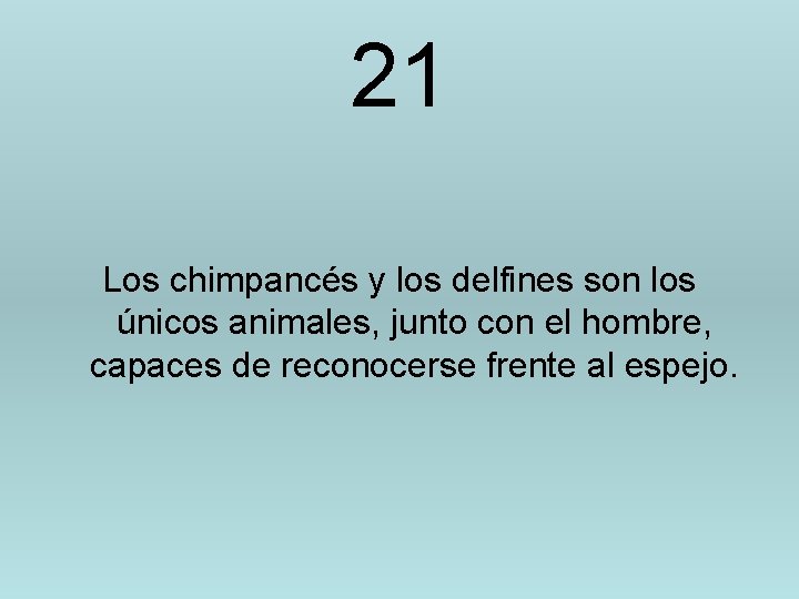 21 Los chimpancés y los delfines son los únicos animales, junto con el hombre,