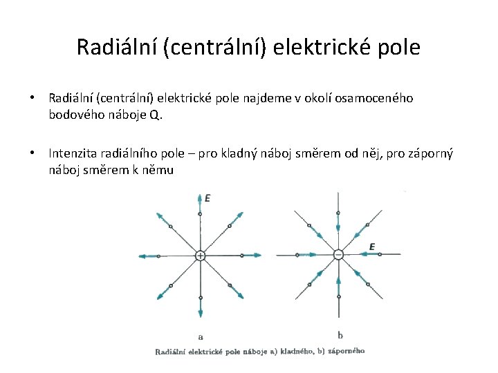 Radiální (centrální) elektrické pole • Radiální (centrální) elektrické pole najdeme v okolí osamoceného bodového