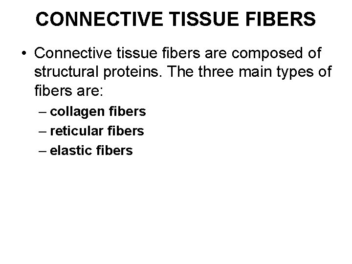 CONNECTIVE TISSUE FIBERS • Connective tissue fibers are composed of structural proteins. The three