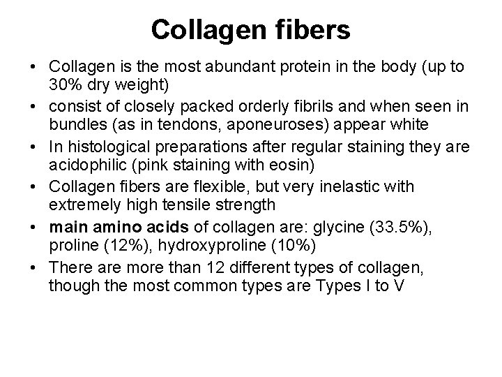 Collagen fibers • Collagen is the most abundant protein in the body (up to