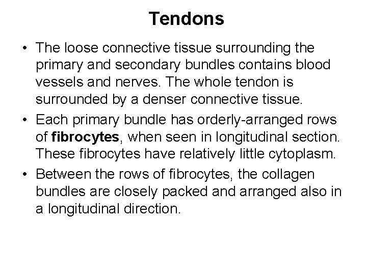 Tendons • The loose connective tissue surrounding the primary and secondary bundles contains blood