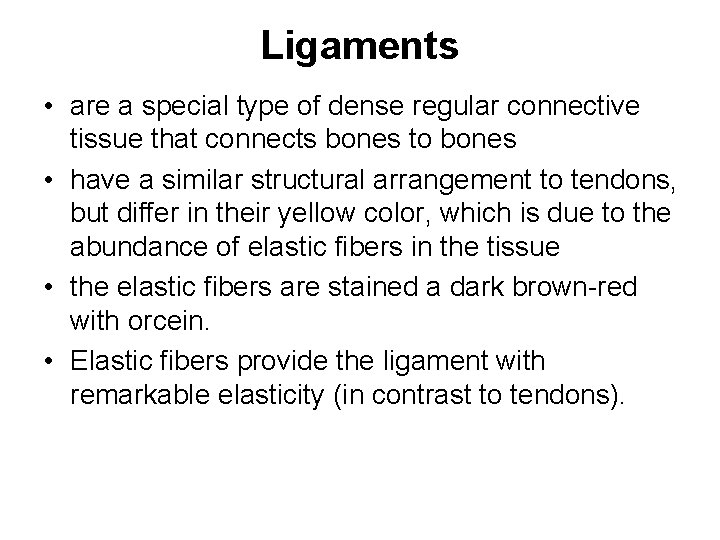 Ligaments • are a special type of dense regular connective tissue that connects bones