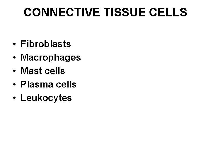 CONNECTIVE TISSUE CELLS • • • Fibroblasts Macrophages Mast cells Plasma cells Leukocytes 