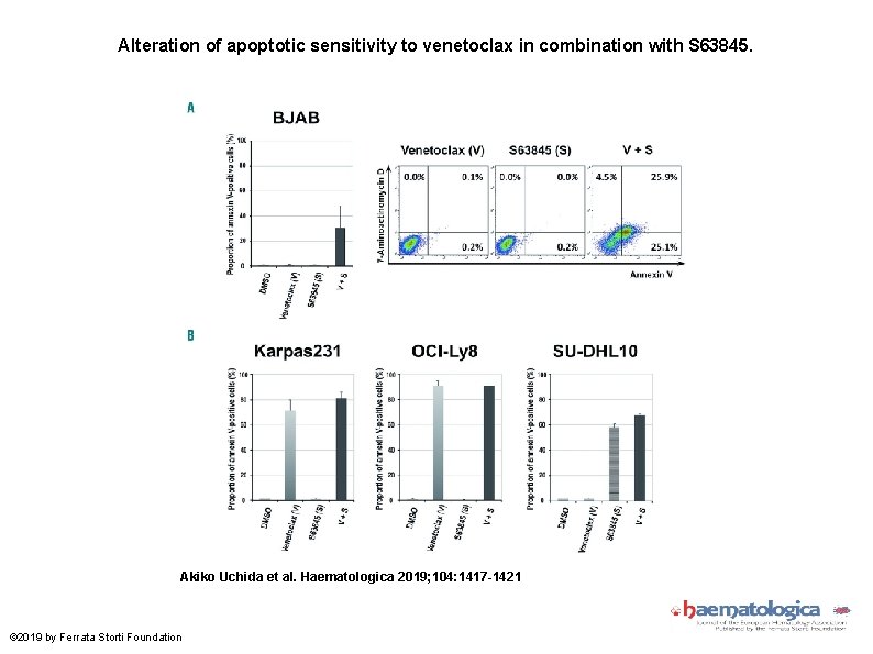 Alteration of apoptotic sensitivity to venetoclax in combination with S 63845. Akiko Uchida et