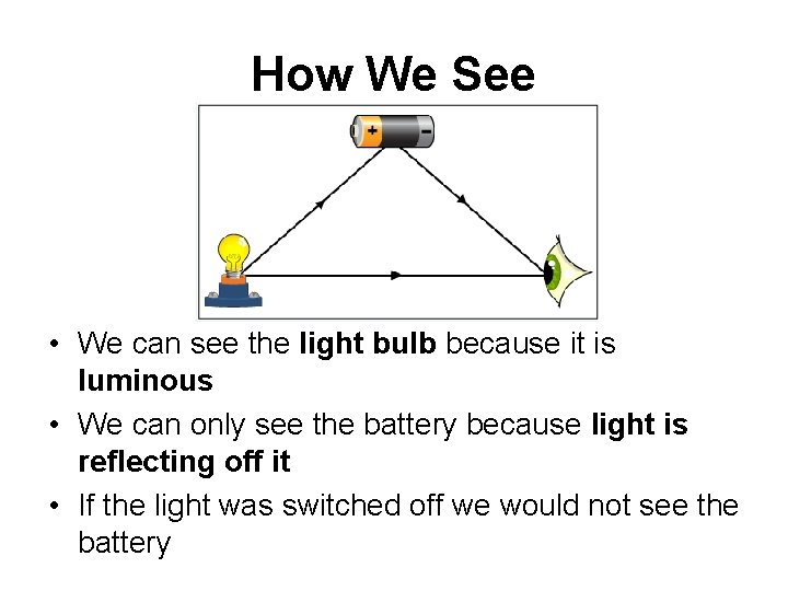 How We See • We can see the light bulb because it is luminous