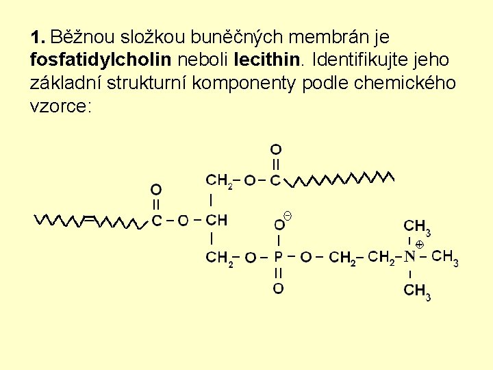 1. Běžnou složkou buněčných membrán je fosfatidylcholin neboli lecithin. Identifikujte jeho základní strukturní komponenty