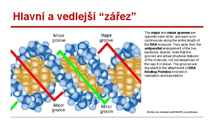 Hlavní a vedlejší “zářez” The major and minor grooves are opposite each other, and