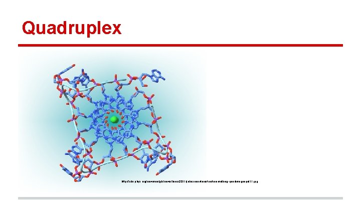 Quadruplex http: //cdn. phys. org/newman/gfx/news/hires/2011/johnsonnaturestructuremolbiog-quadimageapril 11. jpg 