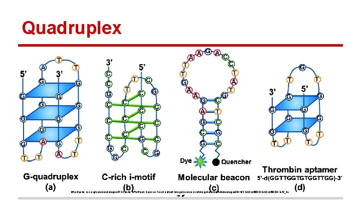 Quadruplex http: //pubs. rsc. org/services/images/RSCpubs. e. Platform. Service. Free. Content. Image. Service. svc/Image. Service/Articleimage/2014/CS/c