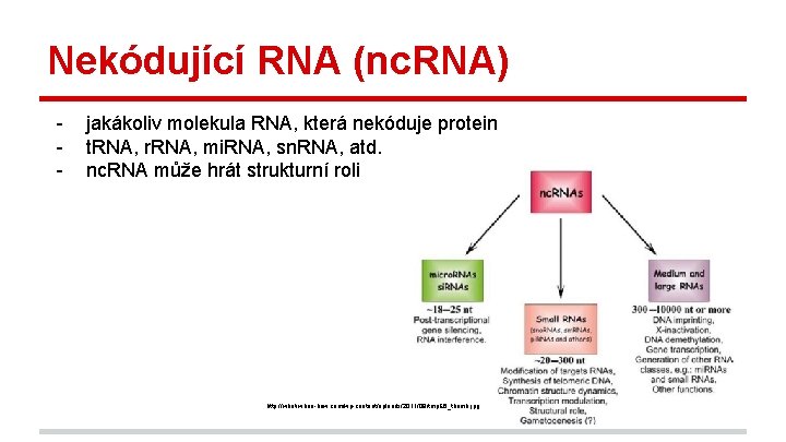 Nekódující RNA (nc. RNA) - jakákoliv molekula RNA, která nekóduje protein t. RNA, r.