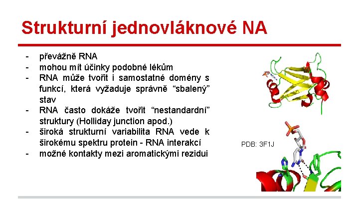 Strukturní jednovláknové NA - převážně RNA mohou mít účinky podobné lékům RNA může tvořit