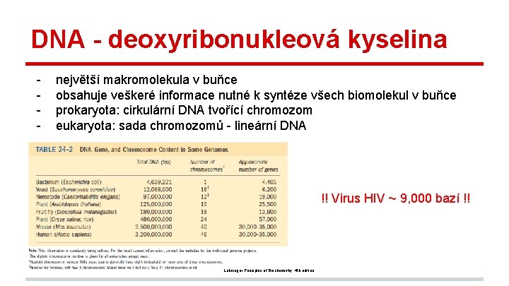 DNA - deoxyribonukleová kyselina - největší makromolekula v buňce obsahuje veškeré informace nutné k