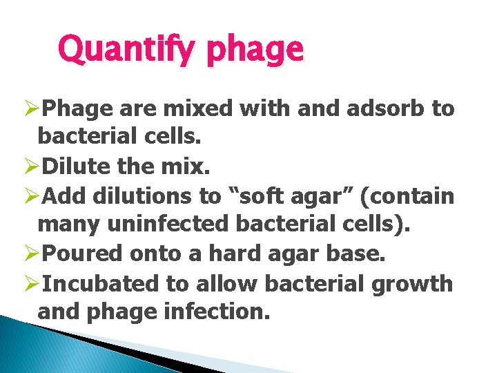Quantify phage ØPhage are mixed with and adsorb to bacterial cells. ØDilute the mix.