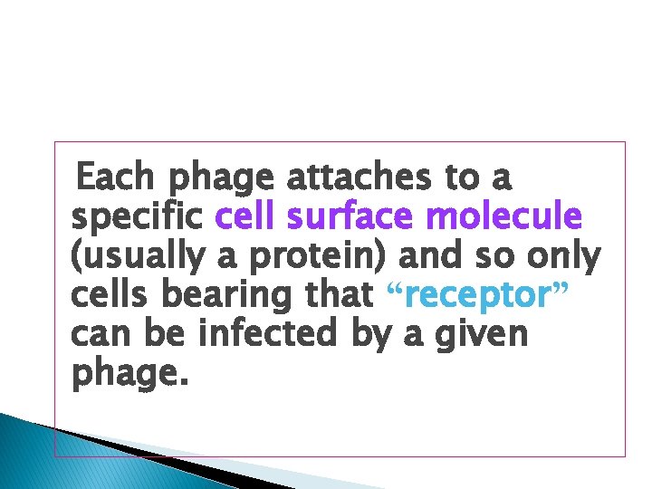 Each phage attaches to a specific cell surface molecule (usually a protein) and so