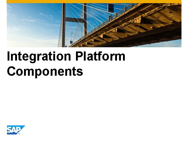 Integration Platform Components Integration Platform Components