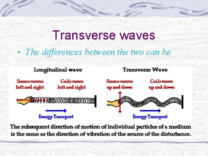 Transverse waves • The differences between the two can be 