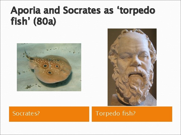 Aporia and Socrates as ‘torpedo fish’ (80 a) Socrates? Torpedo fish? 