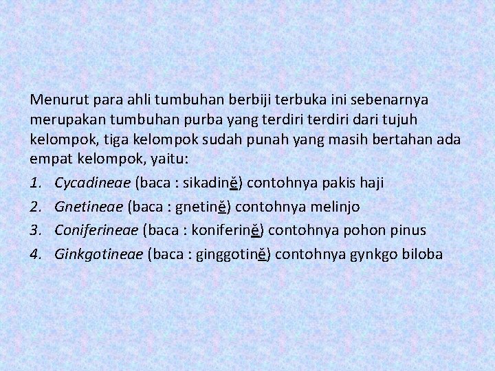 Menurut para ahli tumbuhan berbiji terbuka ini sebenarnya merupakan tumbuhan purba yang terdiri dari