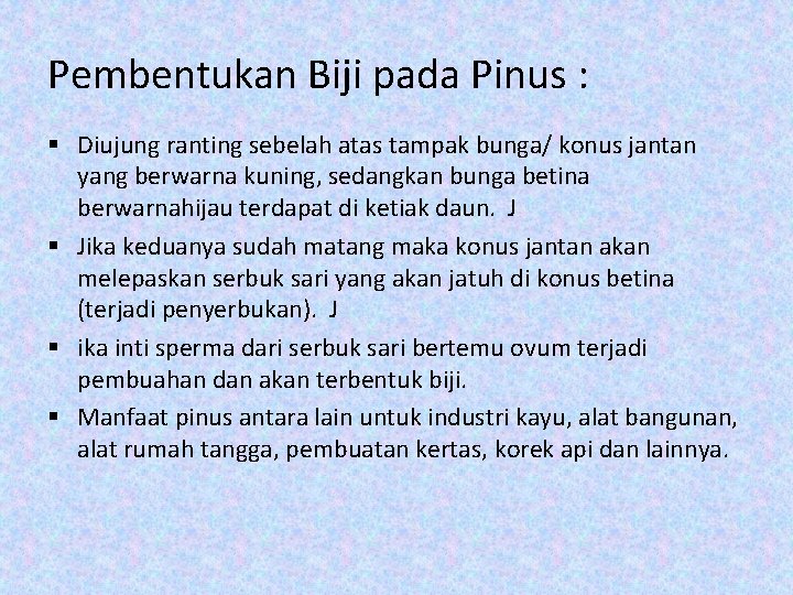 Pembentukan Biji pada Pinus : § Diujung ranting sebelah atas tampak bunga/ konus jantan