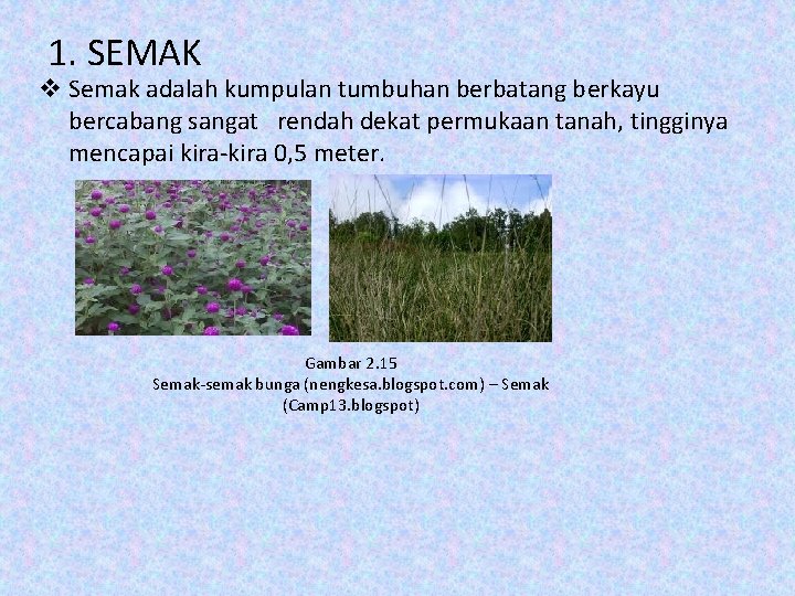 1. SEMAK v Semak adalah kumpulan tumbuhan berbatang berkayu bercabang sangat rendah dekat permukaan