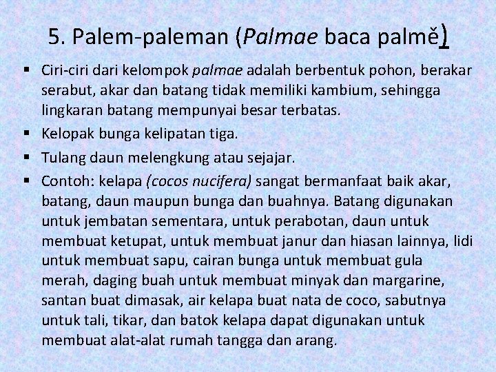 5. Palem-paleman (Palmae baca palmě) § Ciri-ciri dari kelompok palmae adalah berbentuk pohon, berakar