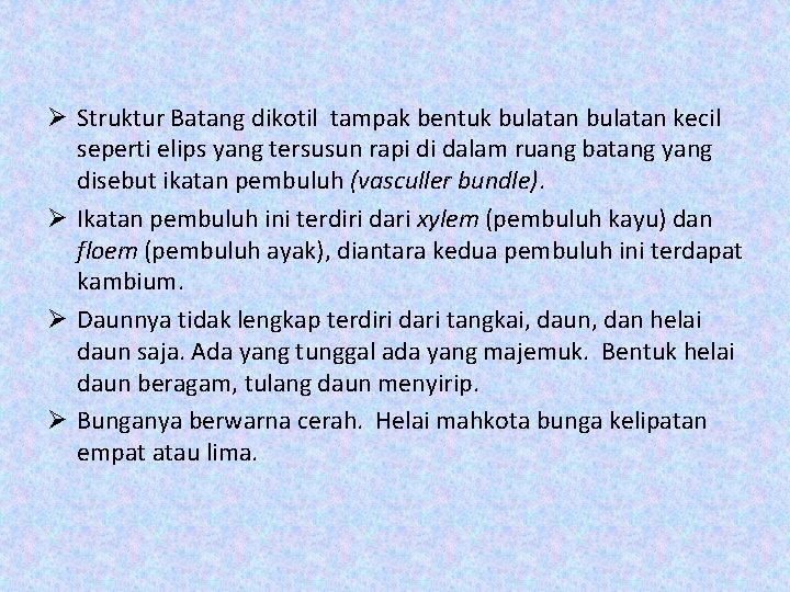 Ø Struktur Batang dikotil tampak bentuk bulatan kecil seperti elips yang tersusun rapi di