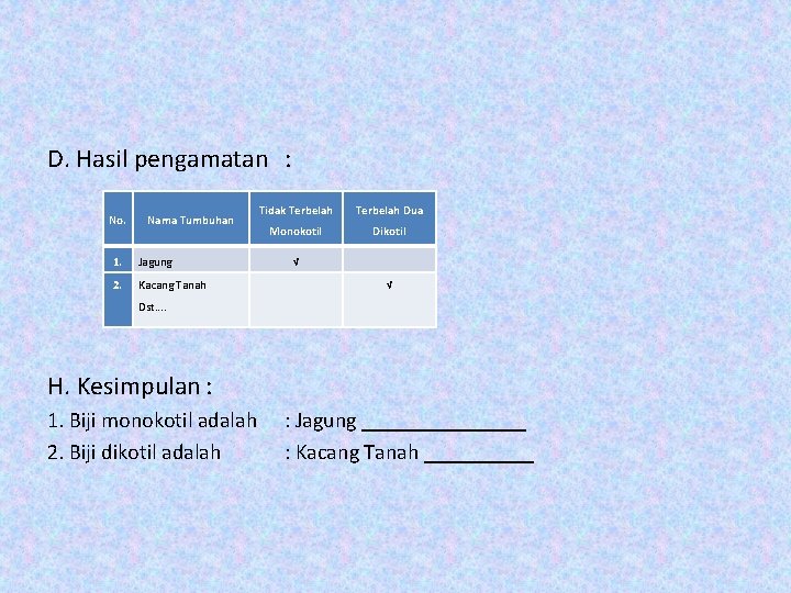 D. Hasil pengamatan : No. Nama Tumbuhan 1. Jagung 2. Kacang Tanah Tidak Terbelah