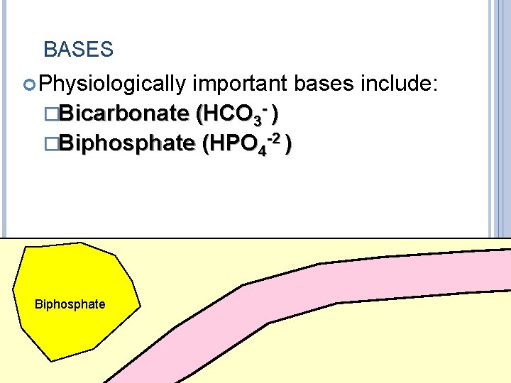 BASES Physiologically important bases include: �Bicarbonate (HCO 3 - ) �Biphosphate (HPO 4 -2