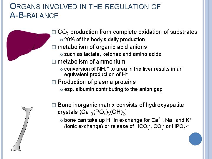 ORGANS INVOLVED IN THE REGULATION OF A-B-BALANCE � CO 2 production from complete oxidation
