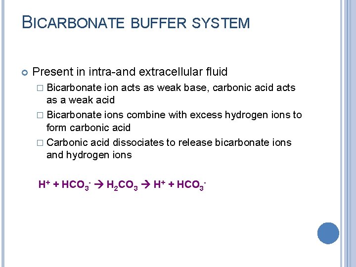 BICARBONATE BUFFER SYSTEM Present in intra-and extracellular fluid � Bicarbonate ion acts as weak