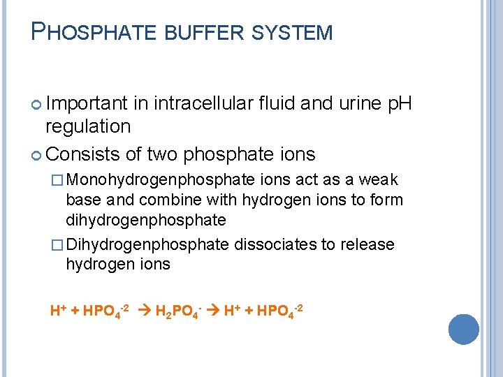 PHOSPHATE BUFFER SYSTEM Important in intracellular fluid and urine p. H regulation Consists of