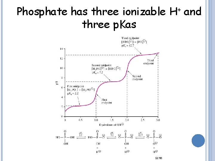 Phosphate has three ionizable H+ and three p. Kas 