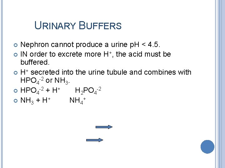 URINARY BUFFERS Nephron cannot produce a urine p. H < 4. 5. IN order