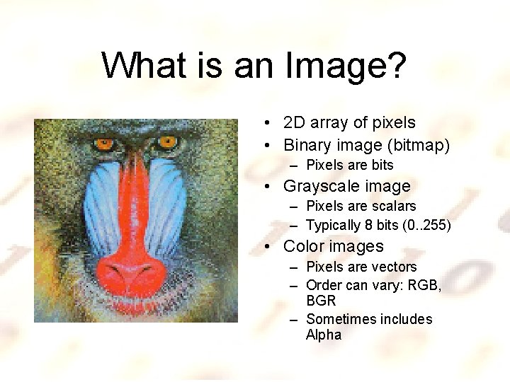 What is an Image? • 2 D array of pixels • Binary image (bitmap)