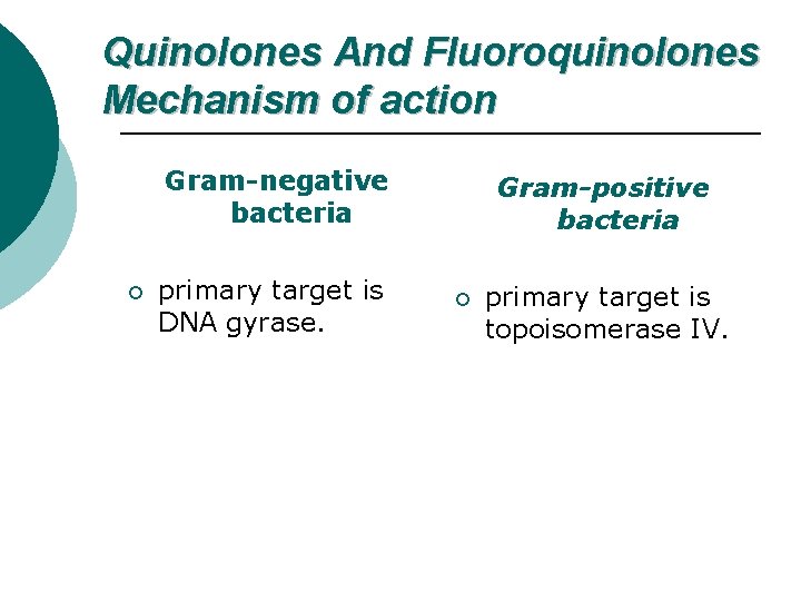Quinolones And Fluoroquinolones Mechanism of action Gram-negative bacteria ¡ primary target is DNA gyrase.