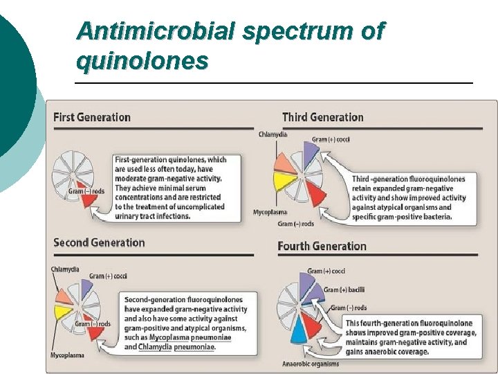 Antimicrobial spectrum of quinolones 