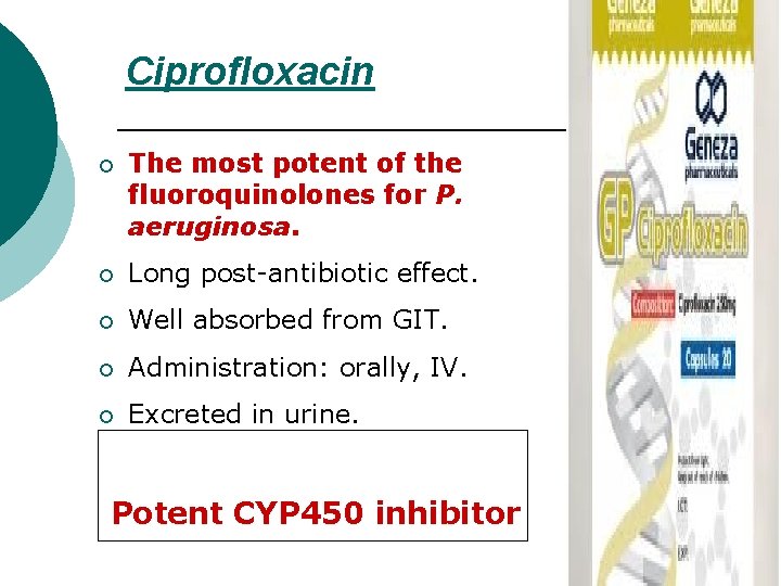 Ciprofloxacin ¡ The most potent of the fluoroquinolones for P. aeruginosa. ¡ Long post-antibiotic