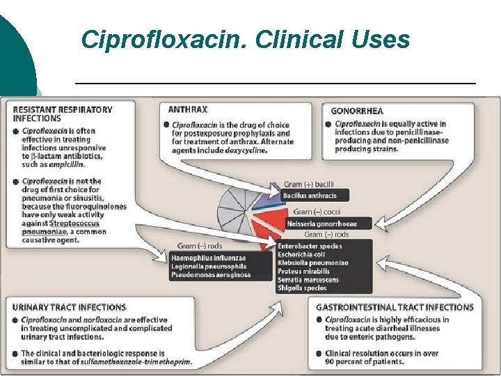 Ciprofloxacin. Clinical Uses 